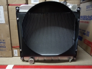 Радиатор охлаждения основной Foton 1043-1 (Ш50*В50, верхний R нижний L)