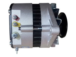 Генератор JF W-19 1000W 12-14V - 3